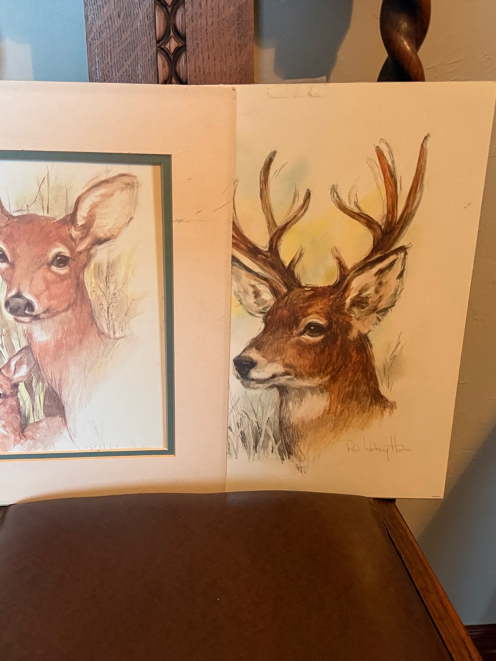 Vintage Deer Print Pair - Rustic Mountain Wildlife Art